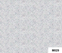 M029