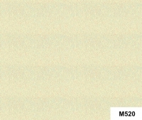 M520
