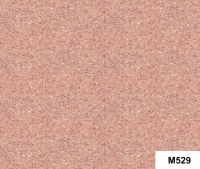 M529